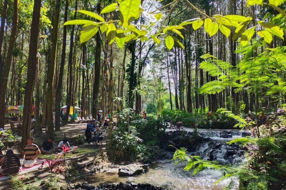 Kali Pinusan Poncosumo Lumajang: Lokasi, Rute, dan Tipsnya | IDN Times