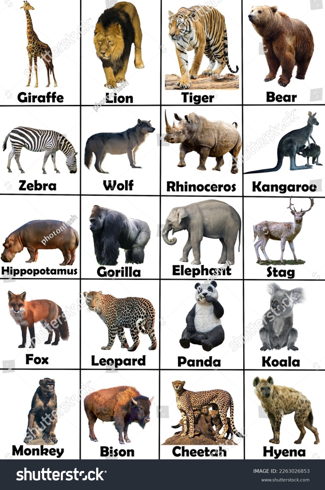 3/8 Inch Stainless Steel Push To Connect Fitting Uses 45+ Thousand Animal Chart Royalty-free Images, Stock Photos & Pictures …