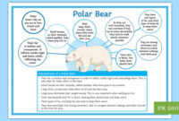 1/4 Inch Plastic Spherical Bearing Lubrication Guide polar Bear Bulletin Board Ideas, Door Decor, Hallway Display And …
