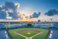 Tiger Fact Sheet For Kids Tampa Bay Rays Finally Move Closer To New Stadium Tiger Fact Sheet For Kids Tampa Bay Rays Finally Move Closer To New Stadium