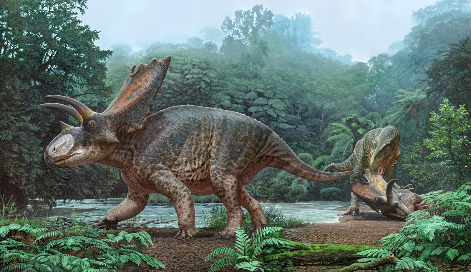  Dinosaur Identification 