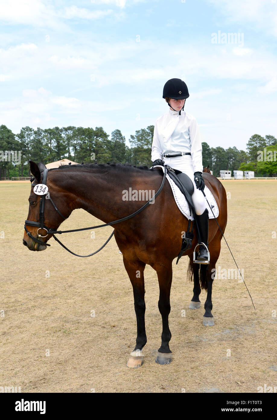  Horseback Riding Dressage at Teresa Burks blog 