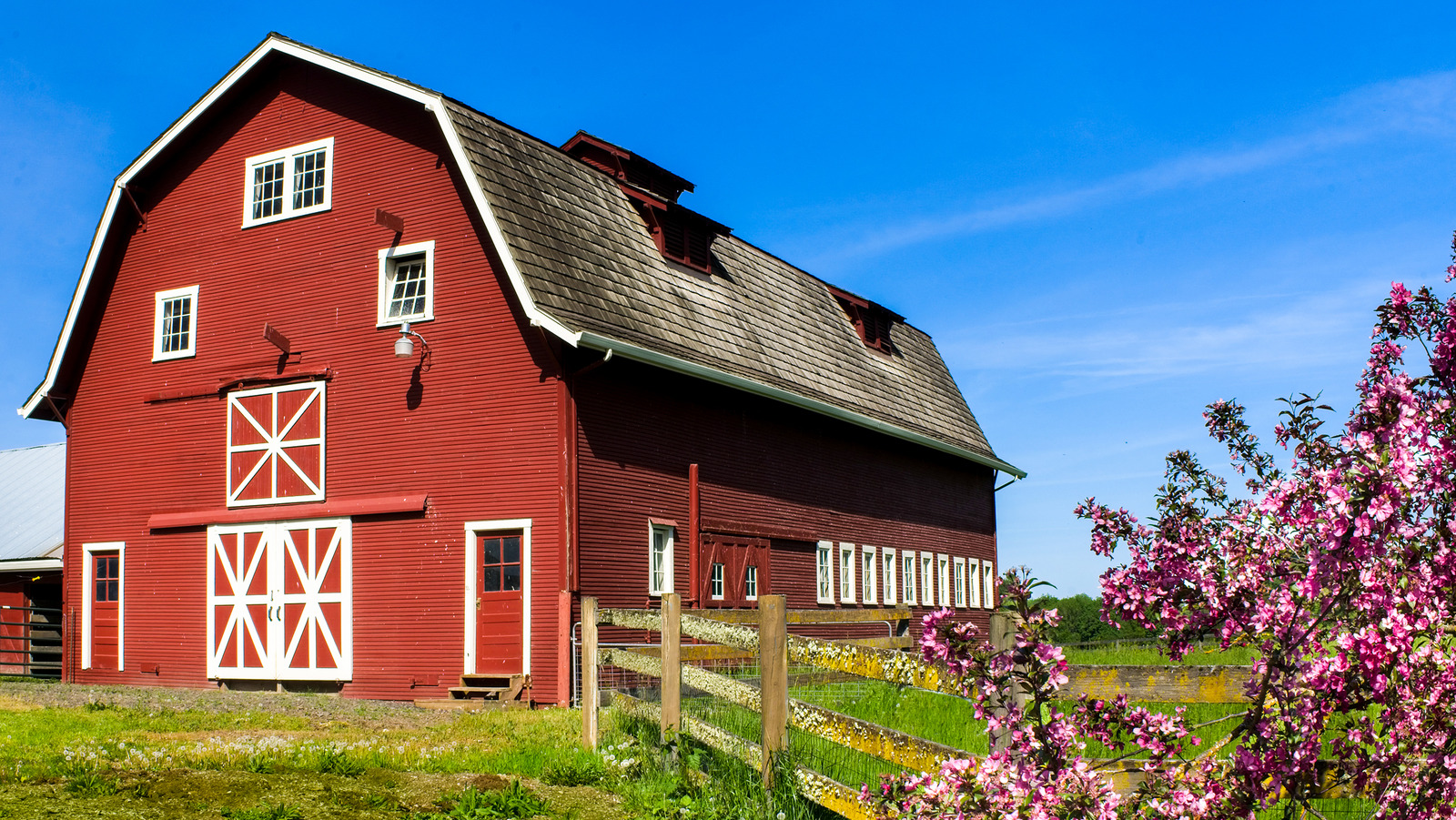 Foto zu Sheds Barn Converted Into Living Spaces 