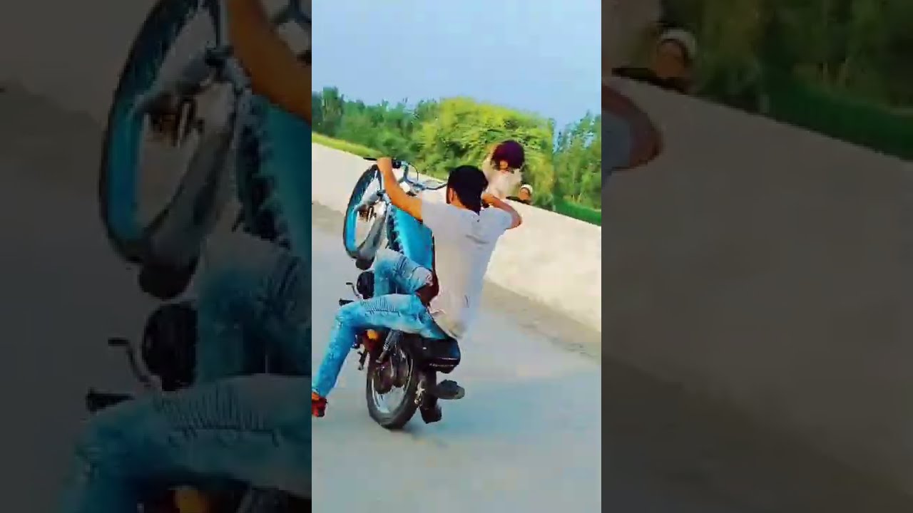  Shani Bacha 302 High End One Whelling GaMe 