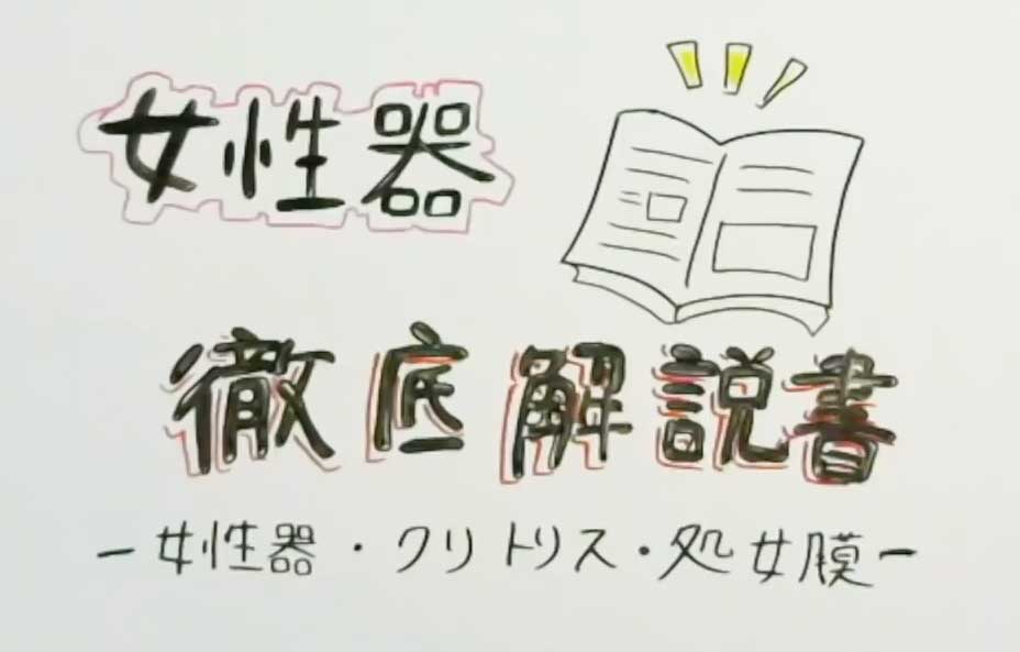 まんこ図解徹底イラスト解説【女性器・処女膜・クリトリス】 | セクテクサイト