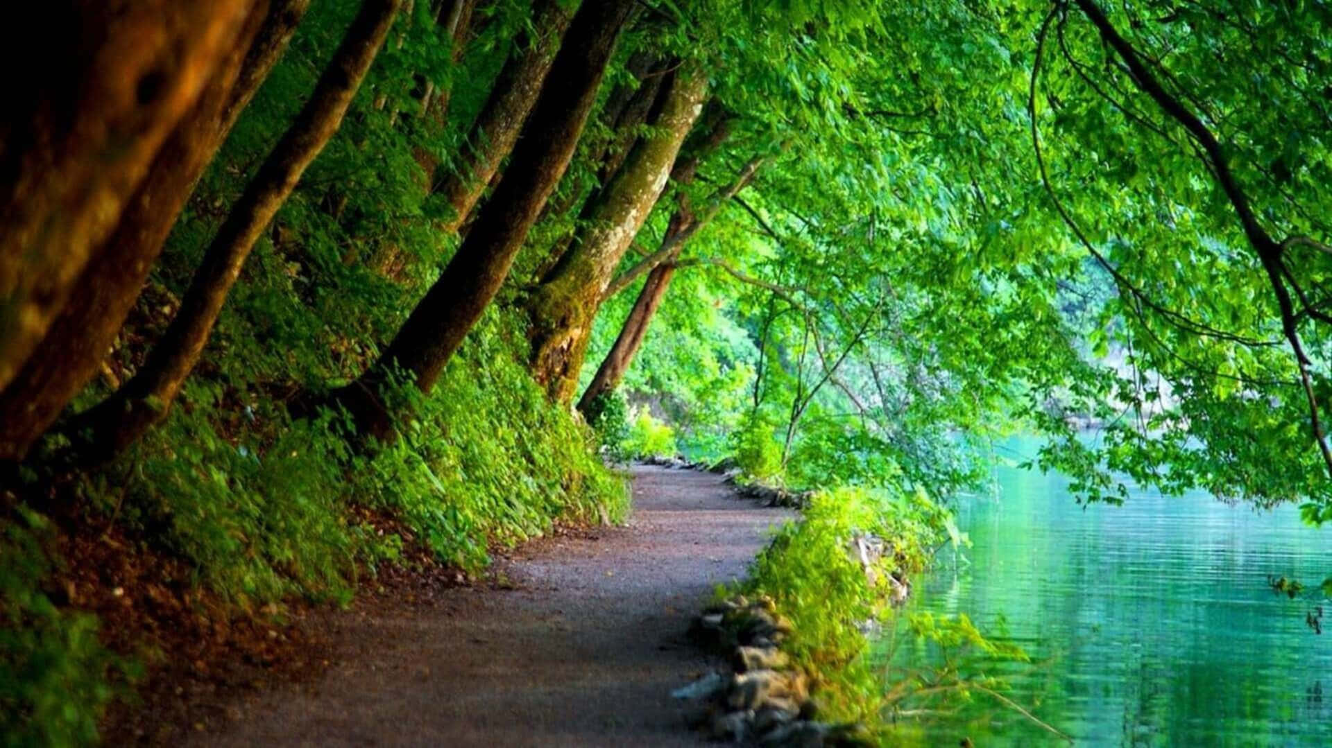  Foto zu [300+] 1080p Nature Backgrounds 