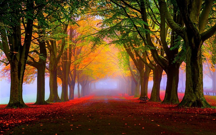 Landscape Wallpapers - Page1 | 10wallpaper.com