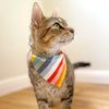  Cat Collar - "Carousel" - Striped Rainbow Cat Collar / Birthday, LGBTQ Illustration 