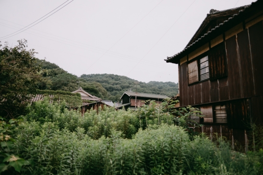 Salmonella Shigella Agar Composition – Tips for manabeshima island, okayama, japan Salmonella Shigella Agar Composition – Tips for manabeshima island, okayama, japan