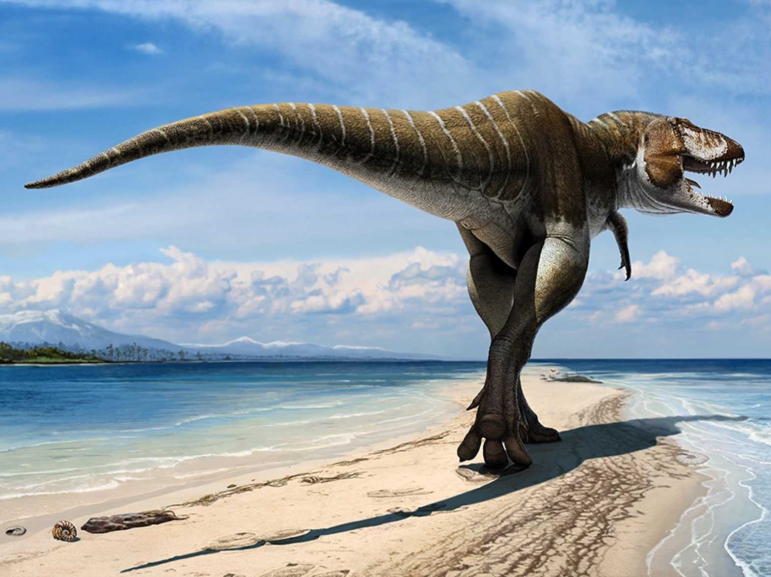  Dinosaurs 