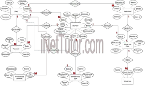 Gym Management System ER Diagram