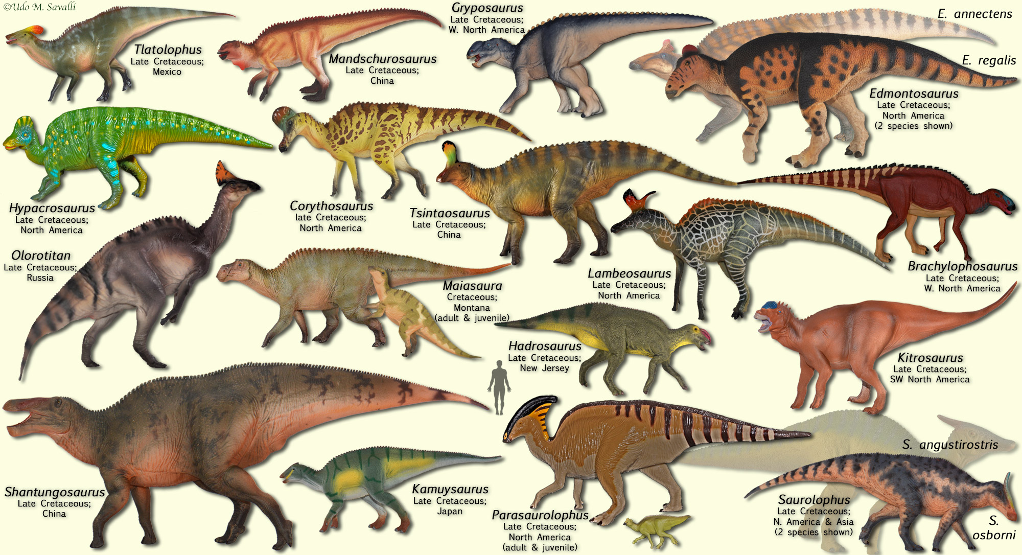  Foto zu Dinosaur Chart Species 