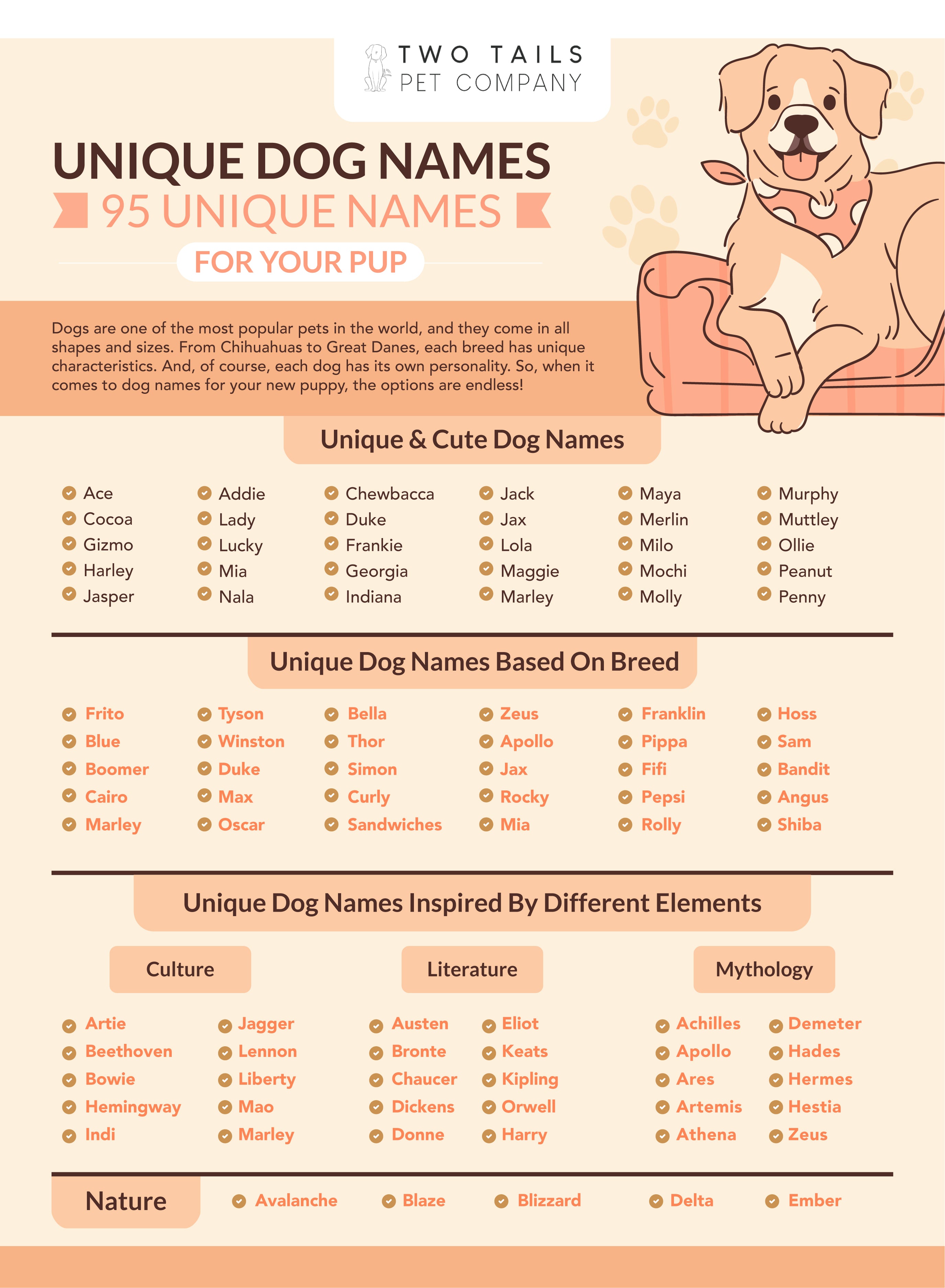  Modern Dog Names 100+ Best Unique Dog Names Cute And Unusual Names Motiv 