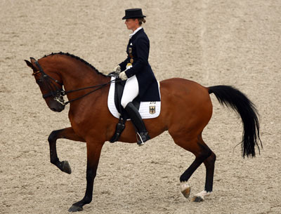  Foto zu Horse Riding: The equestrian disciplines 