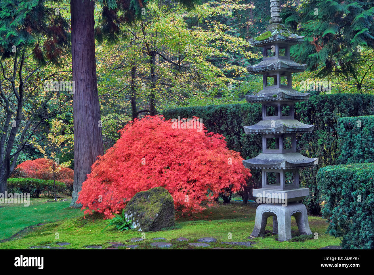  Foto zu Fall color and pagota at Japanese Gardens Portland Oregon Stock Photo 