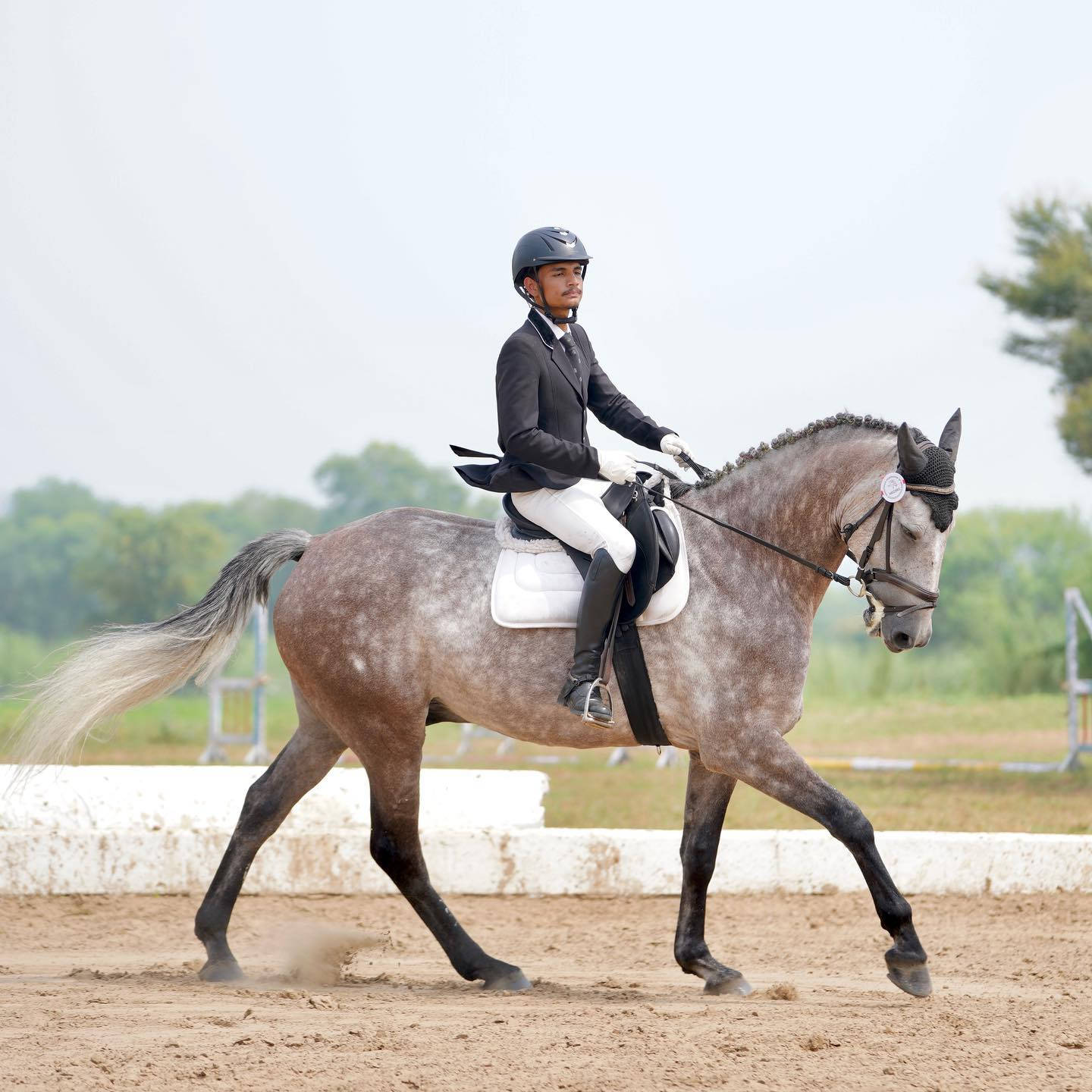  Top 999+ Equestrian Wallpaper Full HD, 4K Free to Use 