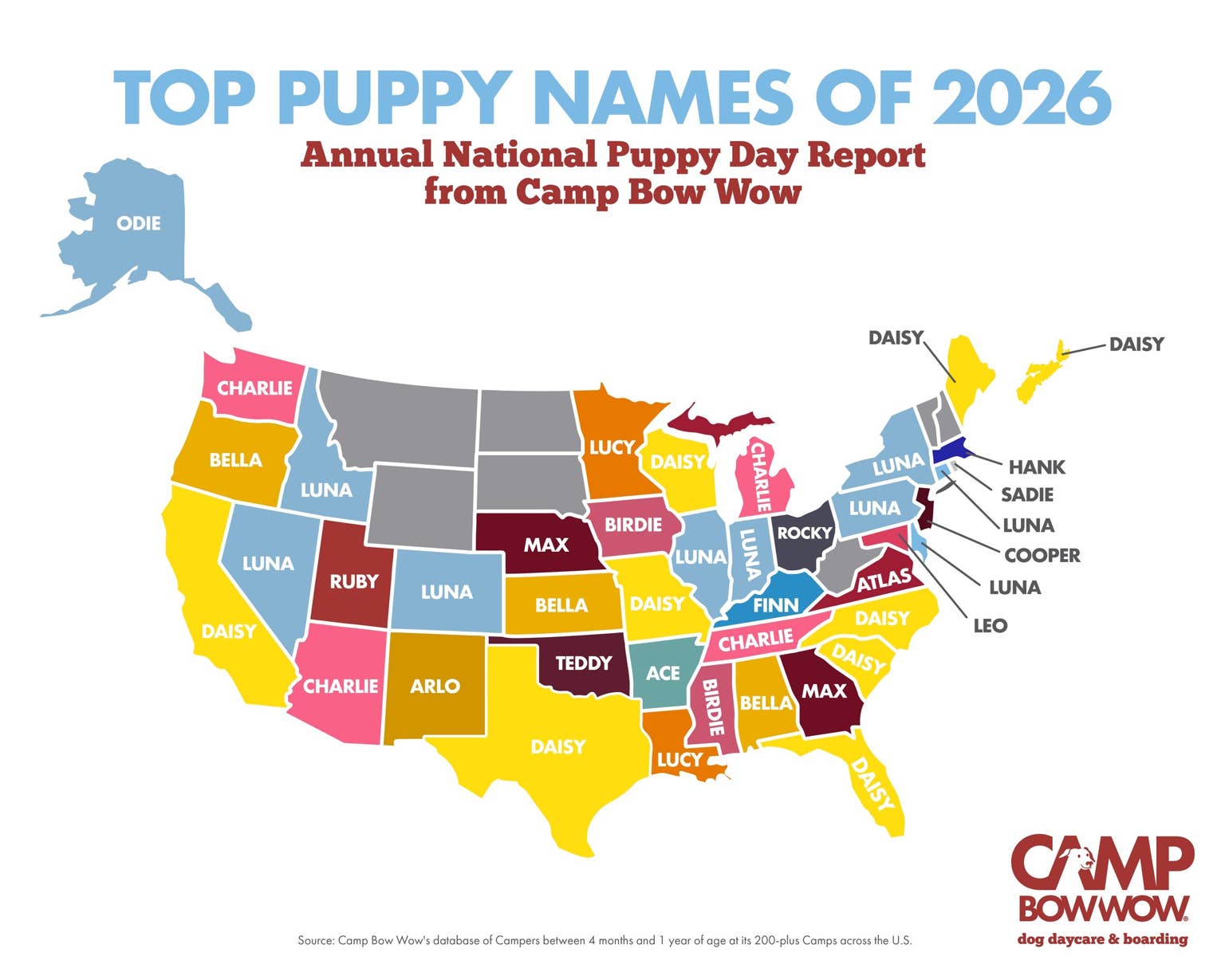 The Most Popular & Creative Puppy Names Taking Over in 2026 - PetHelpful