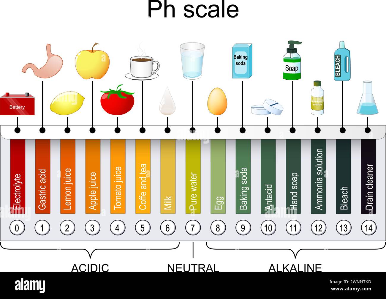  Colors Acids Chart Ph Scale Hi Res Stock Photography And Images 